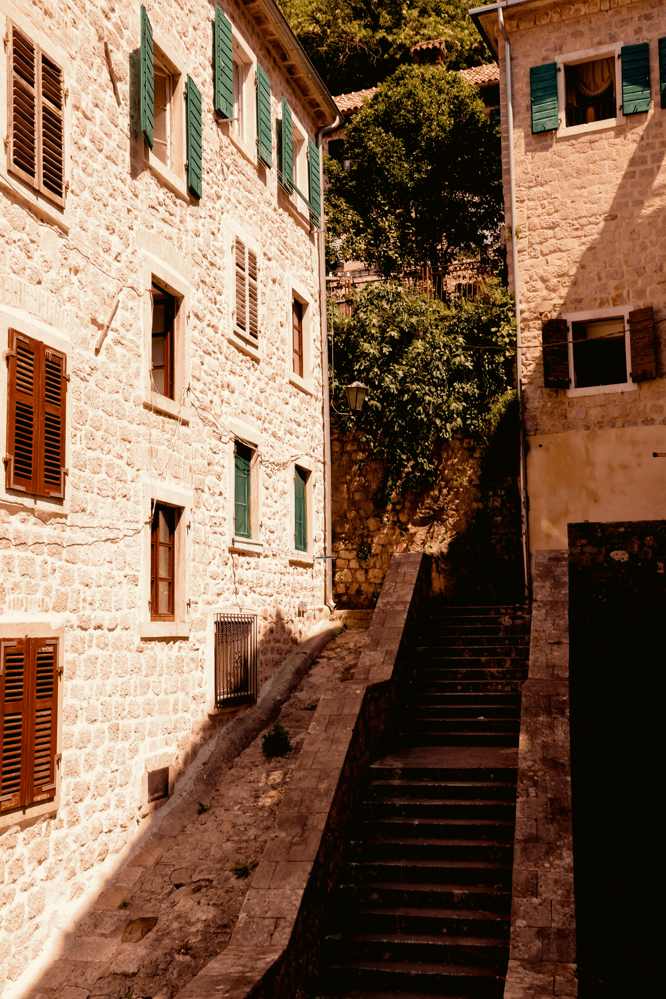 Kotor