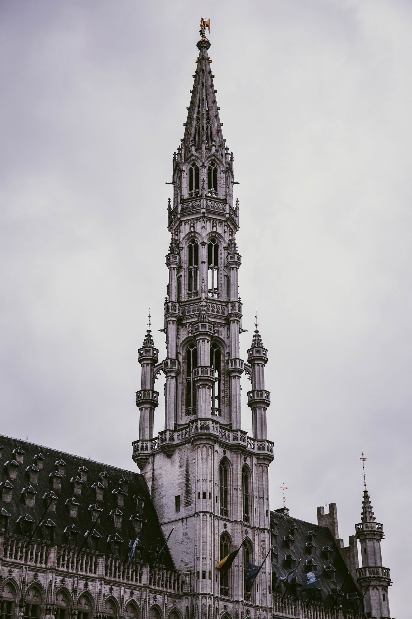 _M5A3677 - Copy