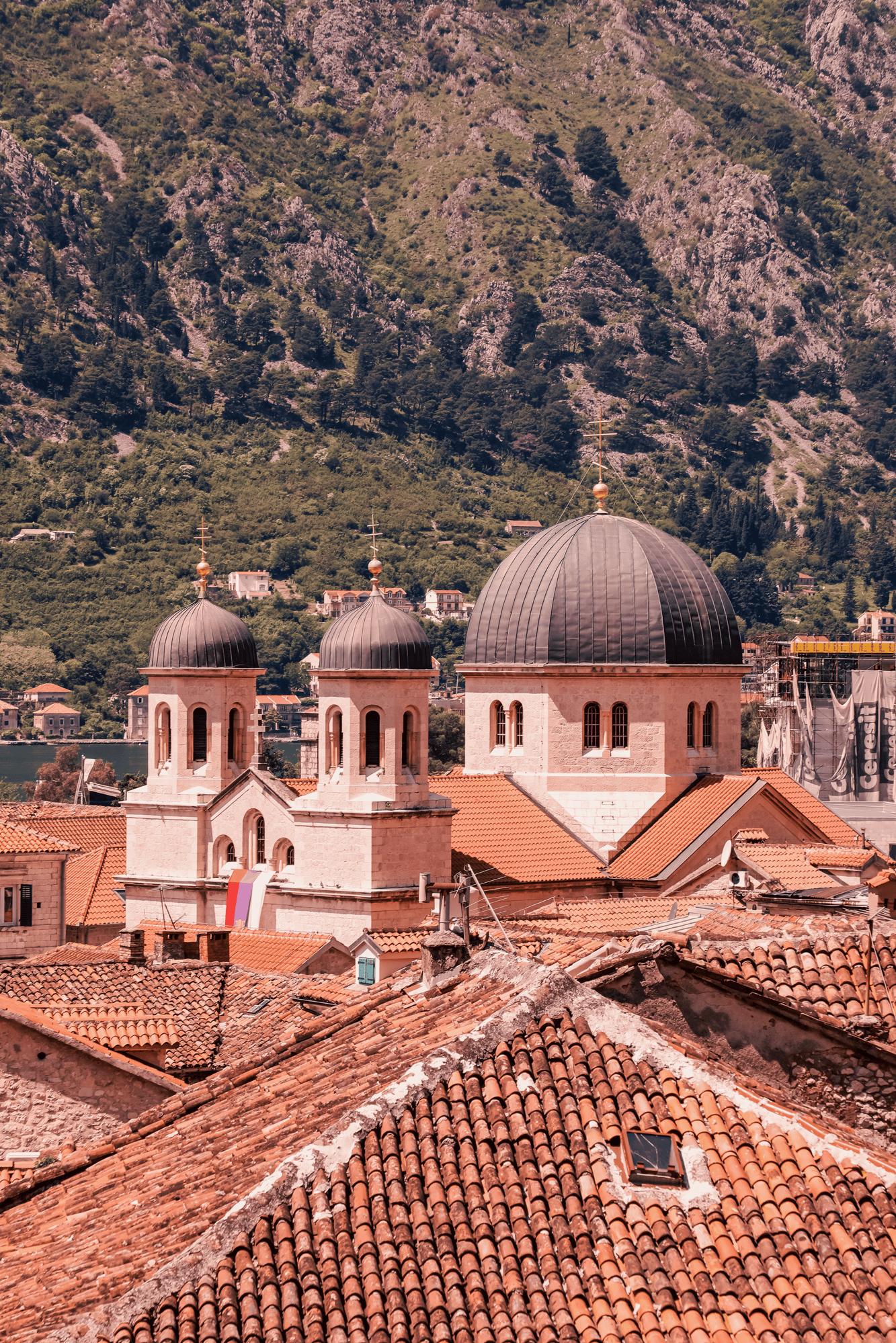 Kotor